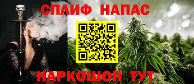 молекула духа Волжский