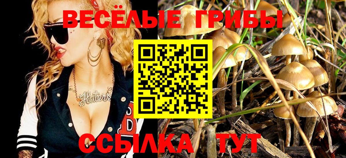 Галлюциногенные грибы мухоморы  Галлюциногенные грибы Cubensis  Ступино  Вход с VPN 