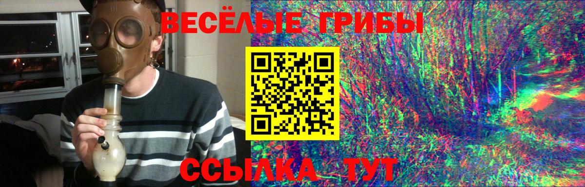 Галлюциногенные грибы прущие грибы Ступино